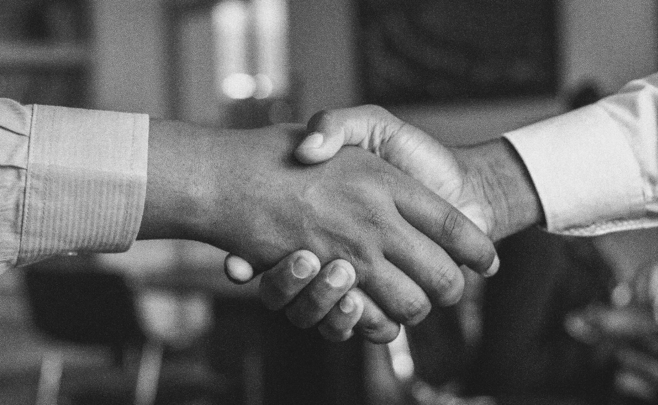 Professional background